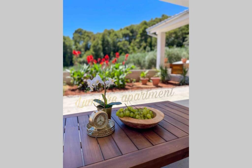 Seaview Pool Apartment-Lumiere, Island Hvar-Gdinj Buitenkant foto